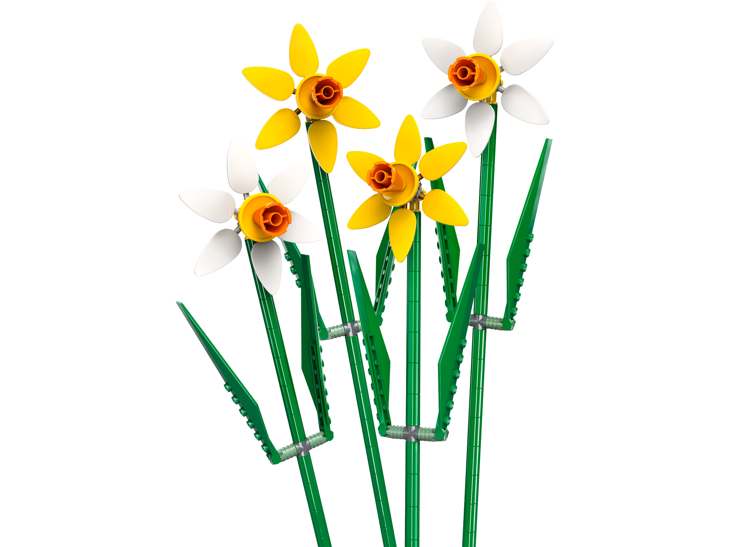 0D423F02-DF1F-A5B0-2637-C36606E75CDC.png Daffodils - Image 1