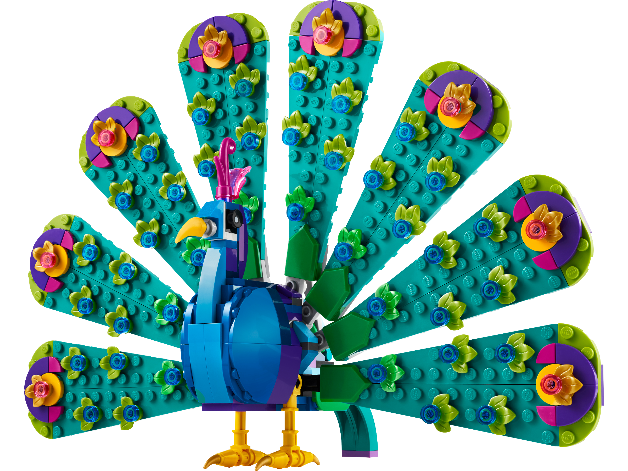24FDB742-1BBE-17B4-8A43-B39F09A954D0.png Exotic Peacock - Image 1