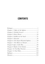 Spinjitzu Brothers: Maze of the Sphinx - Image 2