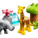 Wild Animals of Africa