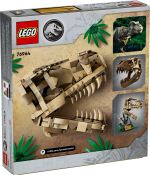 Dinosaur Fossils: T. rex Skull - Image 6