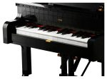 Grand Piano - Image 13