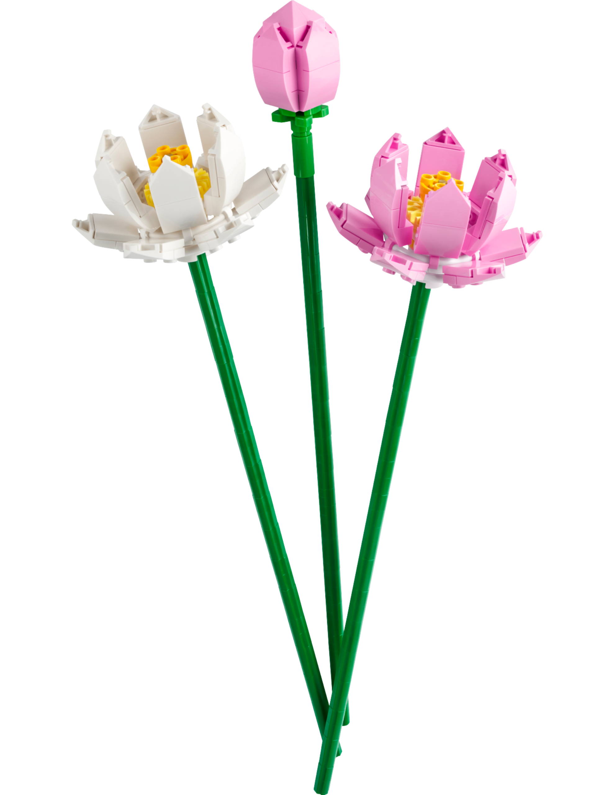 A8729B9C-BD4F-171F-1581-8A79EAE4EFB2.png Lotus Flowers - Image 1