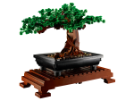 Bonsai Tree - Image 3