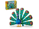 Exotic Peacock - Image 2